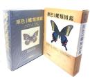 原色日本蝶類図鑑