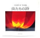 虫たちの詩：日比野 克 写真集(BeeBooks)
