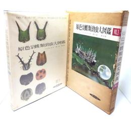 原色日本蝶類幼虫大図鑑 VOL.1