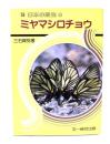 ミヤマシロチョウ (日本の昆虫 13)