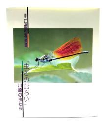 川口道明写真集 「虫との語らい」川崎の虫たち