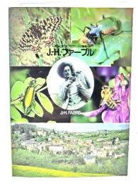 J.=H.ファーブル : 昆虫と語ったプロヴァンスの聖者 特別展
