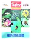 市民グラフ ヨコハマ No.79 季刊 1992 ：大特集＝横浜 昆虫図鑑/横浜市＋昆虫クリヤーファイル3枚