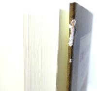 自壊する「日本」の構造