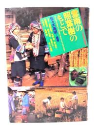雲南の照葉樹のもとで : 国立民族学博物館中国西南部少数民族文化学術調査団報告