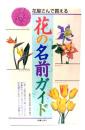 花屋さんで買える花の名前ガイド
