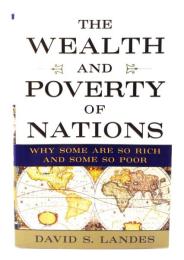 The Wealth and Poverty of Nations: Why Some Are So Rich and Some So Poor