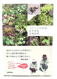 みちくさの名前。 : 雑草図鑑