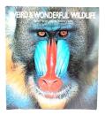 Weird and Wonderful Wildlife