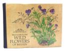 Field Guide to the Wild Flowers of Britain (Nature Lover's Library)