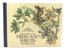 Field Guide to the Trees and Shrubs of Britain (Nature Lover's Library)