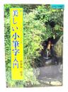 美しい小筆字入門 : 基本からわかる細字の手本集