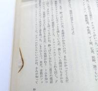 シカゴ事件記者