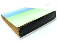 二十世紀鉄仮面 : 他