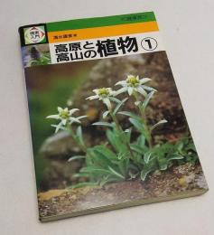 検索入門高原と高山の植物