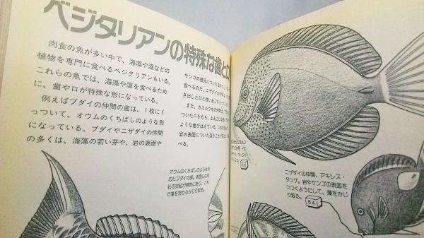 世界の魚と友達になる本 図解 水槽の中のフィールドガイド ネイチャー プロ編集室 編 ブックスマイル 古本 中古本 古書籍の通販は 日本の古本屋 日本の古本屋