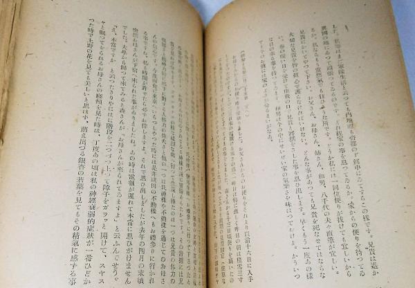 はるかなる山河に : 東大戦歿学生の手記(東大学生自治会戦歿学生