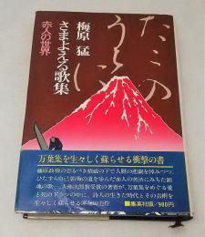 さまよえる歌集 : 赤人の世界