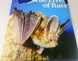 The Lives of Bats