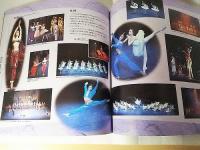 レニングラード国立バレー　ムソルグスキー記念　2003－2004日本公演