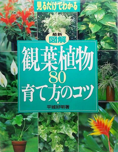 最新図解観葉植物80育て方のコツ 見るだけでわかる 平城好明 著 古本 中古本 古書籍の通販は 日本の古本屋 日本の古本屋