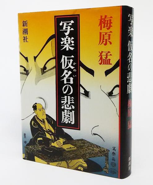 若者の大愛商品 フクロウ探偵30番めの事件 (子どもの文学 青い海シリーズ