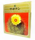 サボテン (1966年) (カラーコンパクト)