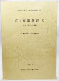 かながわ考古学財団調査報告 16 宮ヶ瀬遺跡群 10(中原（No.13C)遺跡）