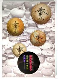 藤原京を掘る : 藤原京一等地の調査