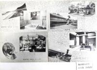 戦前絵はがき 8枚セット(江の島4枚、江の島金亀楼4枚)