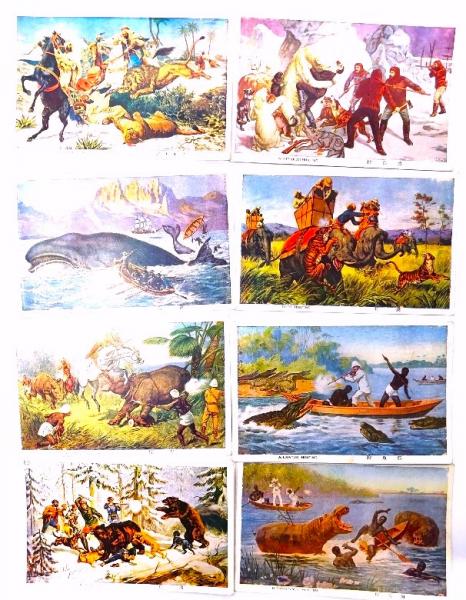出産祝いなども豊富 戦前絵はがき原色猛獣狩り 8枚 / ブックスマイル / 古本、中古本 絵葉書