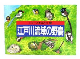 江戸川流域の野鳥(シリーズ・江戸川2)