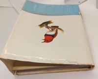 イラスト野鳥図誌