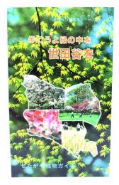 せたがや植物ガイド : 歩こうよ緑の中を世田谷を (世田谷自然観察シリーズ1)