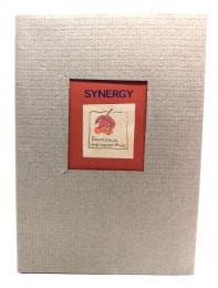 SYNEGY 第5号
