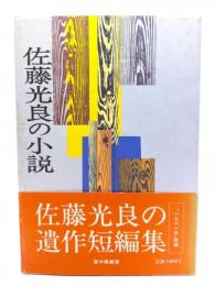 佐藤光良の小説
