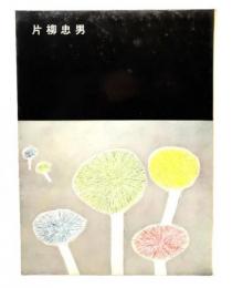 画集 片柳忠男
