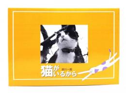 猫がいるから
