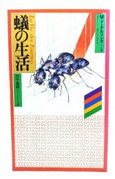 蟻の生活