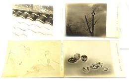 レトロ・絵葉書 朝陽社巳卯年度展 10枚