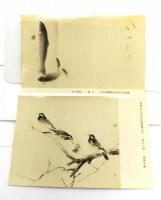 レトロ・絵葉書 朝陽社巳卯年度展 10枚