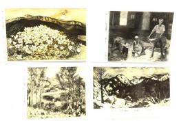レトロ・絵葉書 二科美術展 39枚