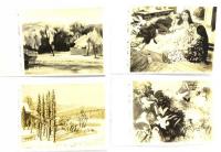 レトロ・絵葉書 二科美術展 39枚