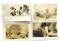 レトロ・絵葉書 明治美術名作展示会出品作品 48枚
