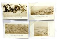 レトロ・絵葉書 新美術家協会展 32枚