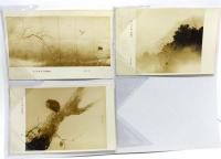 レトロ・絵葉書 池上秀畝個人展覧会 9枚
