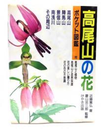 高尾山の花 : 高尾山・陣馬山・景信山・南浅川・その周辺
