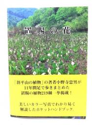 置賜の花