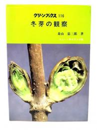 冬芽の観察