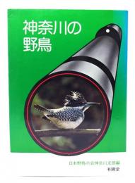 神奈川の野鳥